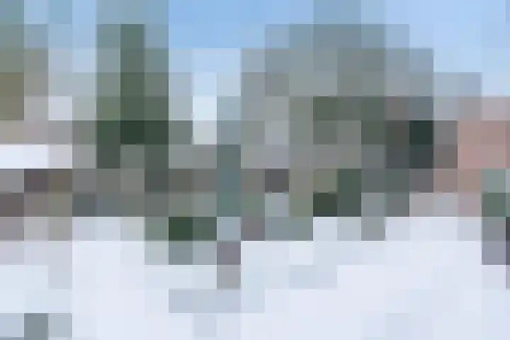 Arendstraat 18 Boekel thumbnail 36