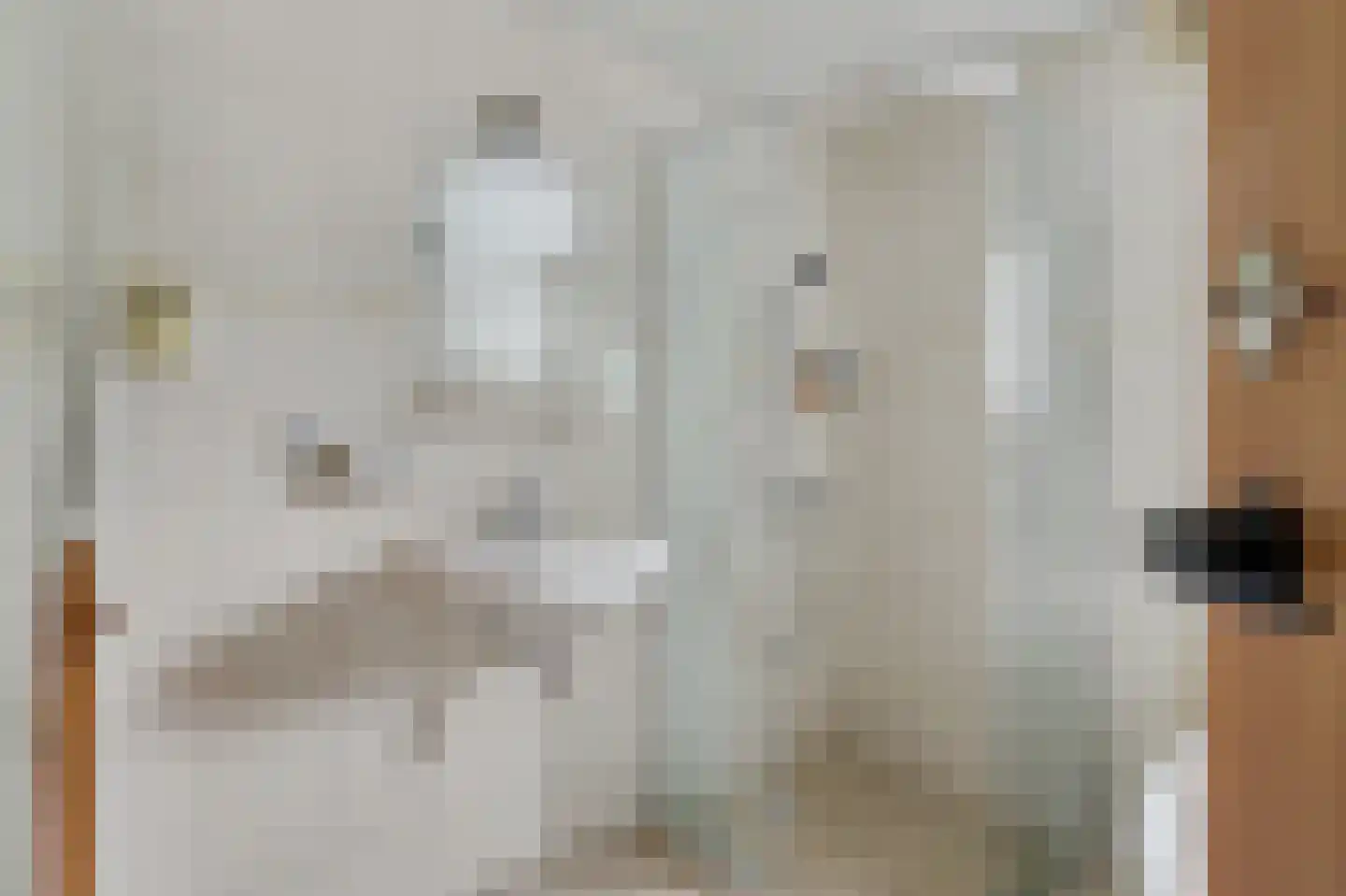 Arendstraat 18 's-Heer Arendskerke thumbnail 21