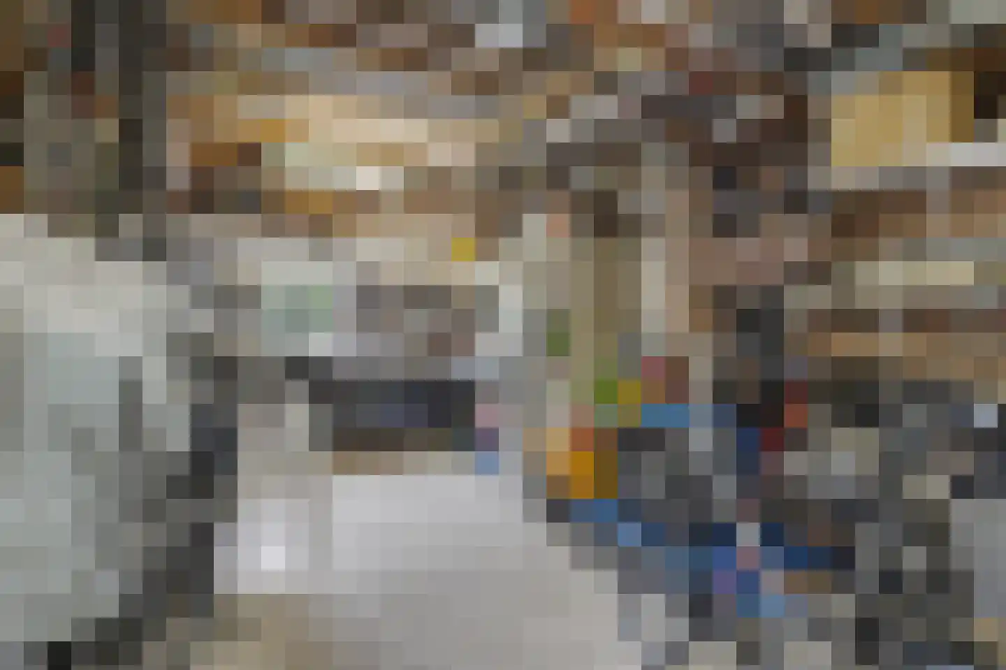Arendstraat 18 's-Heer Arendskerke thumbnail 35