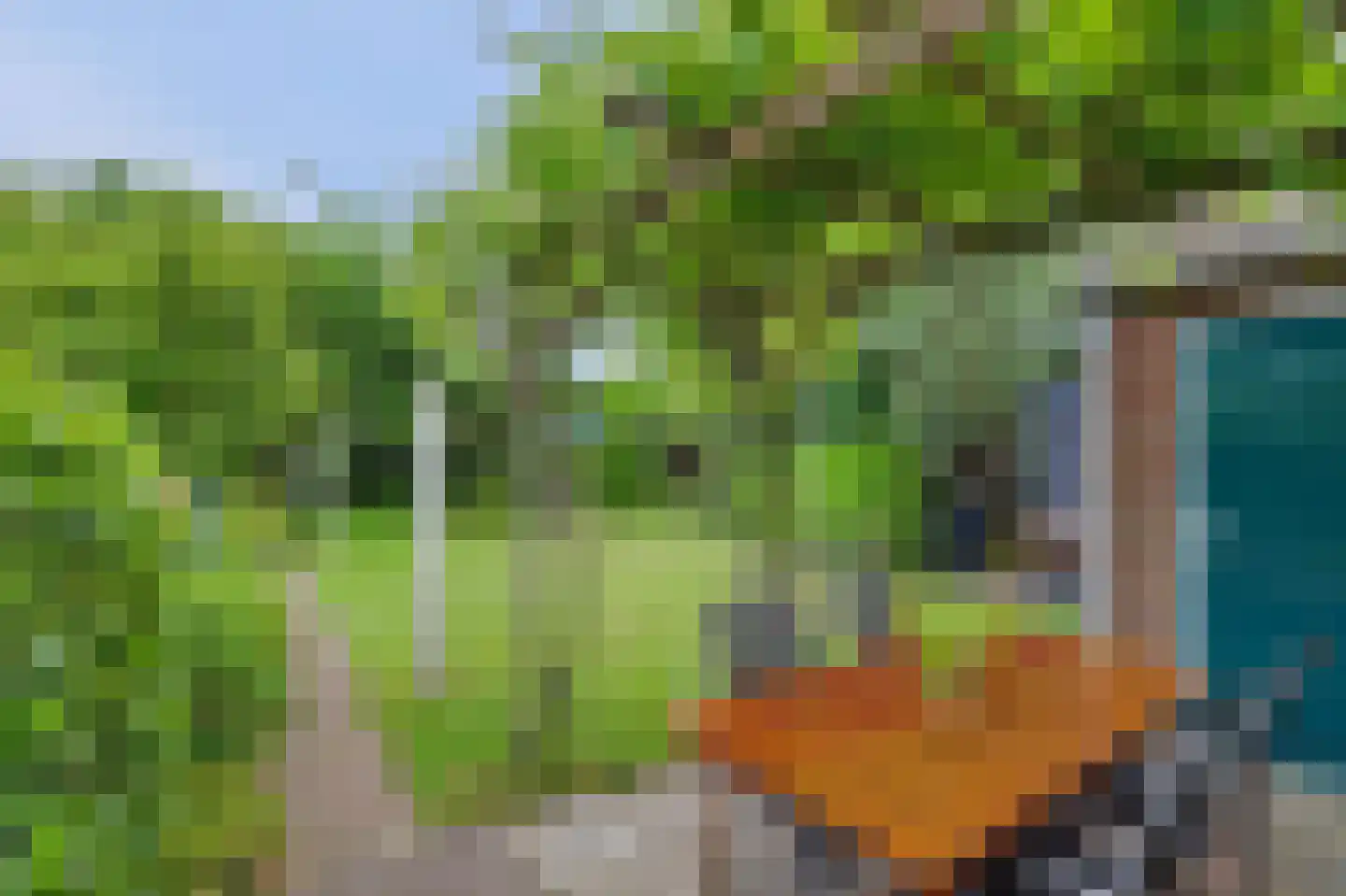 Arendstraat 18 's-Heer Arendskerke thumbnail 38