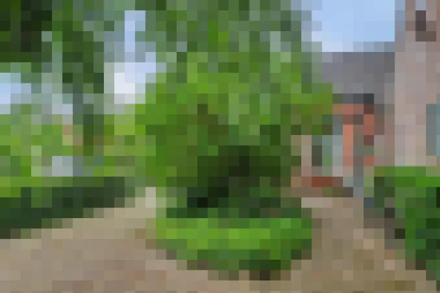 Arendstraat 18 's-Heer Arendskerke thumbnail 39
