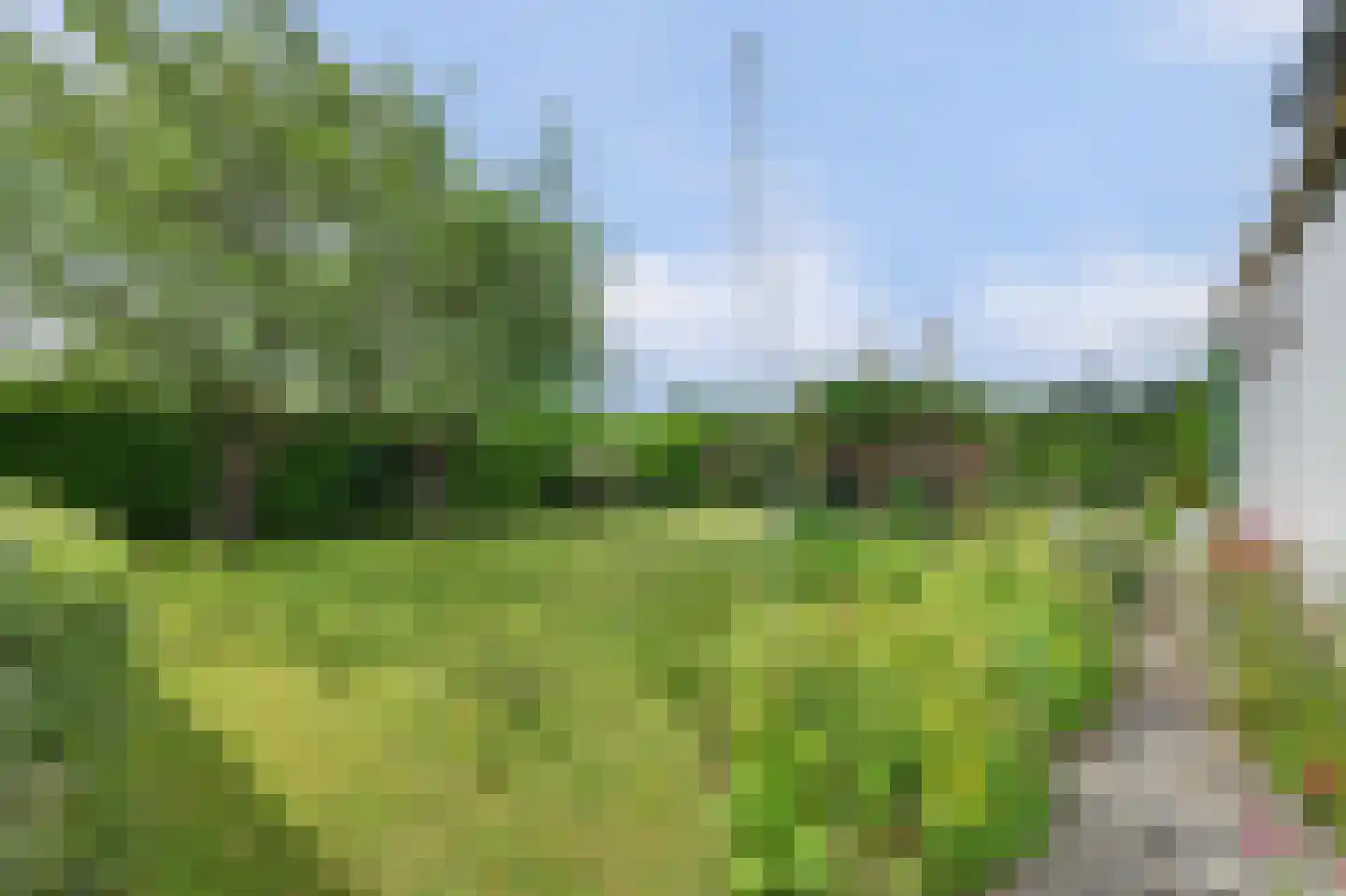 Arendstraat 18 's-Heer Arendskerke thumbnail 40