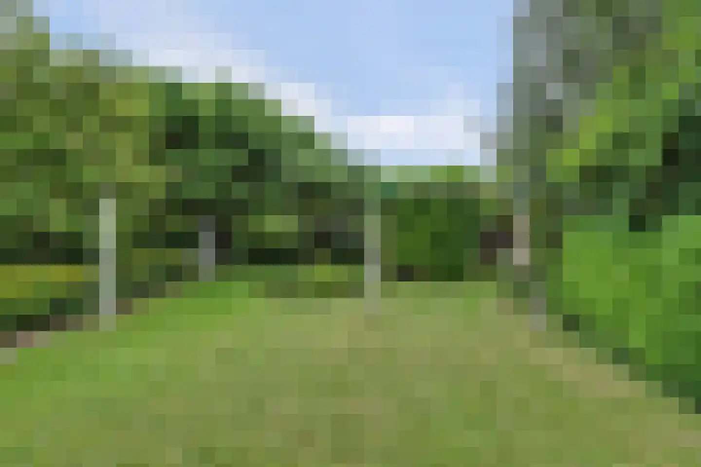 Arendstraat 18 's-Heer Arendskerke thumbnail 42