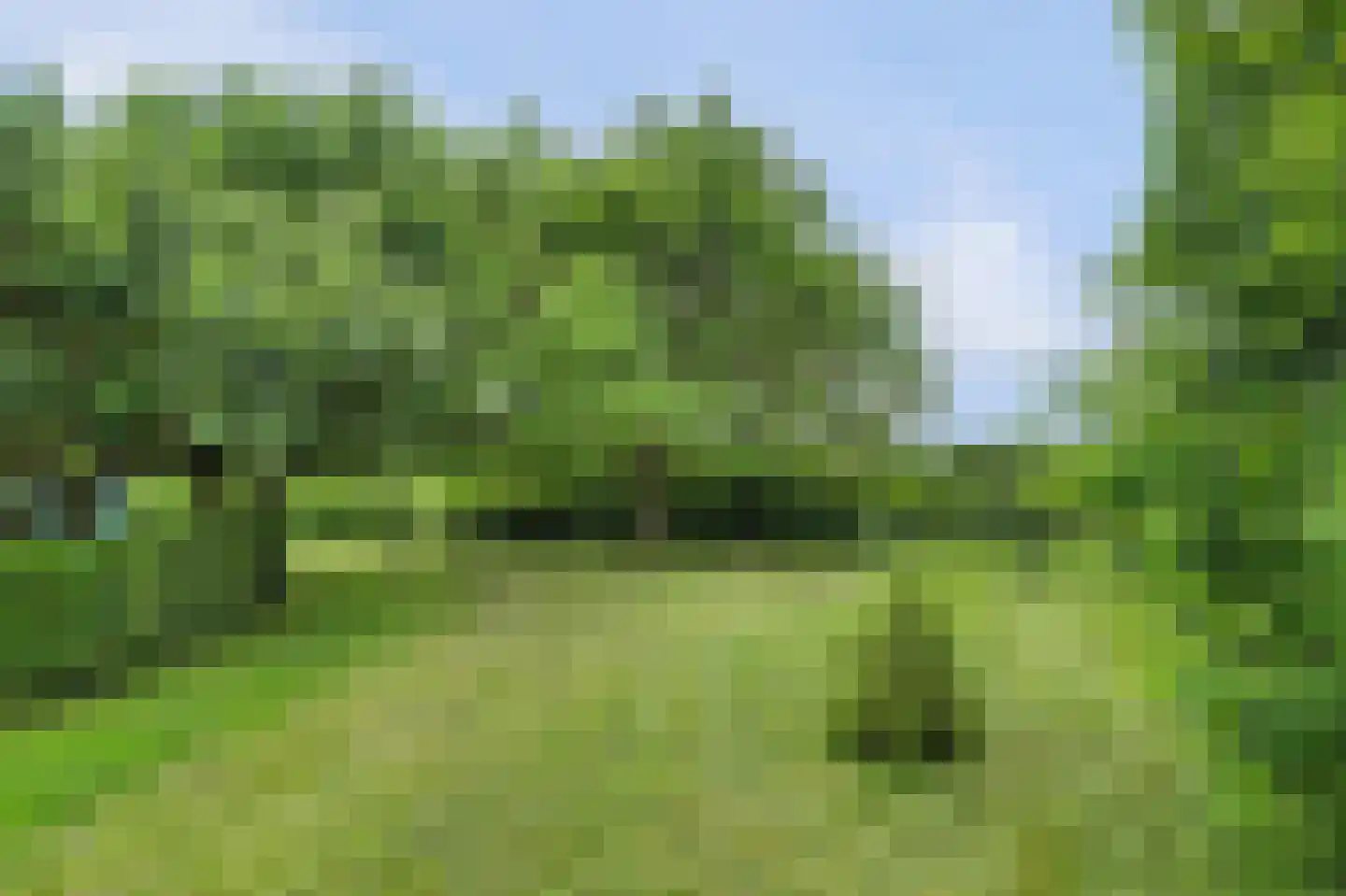 Arendstraat 18 's-Heer Arendskerke thumbnail 43