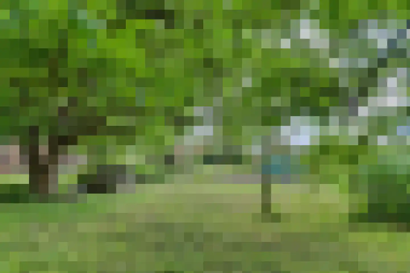 Arendstraat 18 's-Heer Arendskerke thumbnail 44