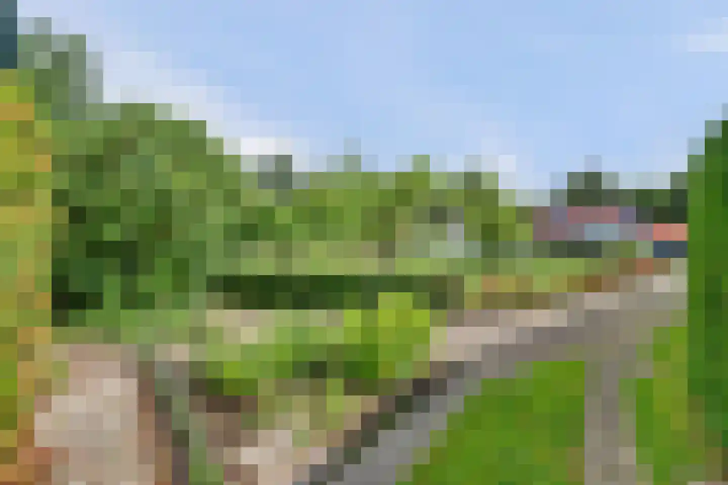 Arendstraat 18 's-Heer Arendskerke thumbnail 46