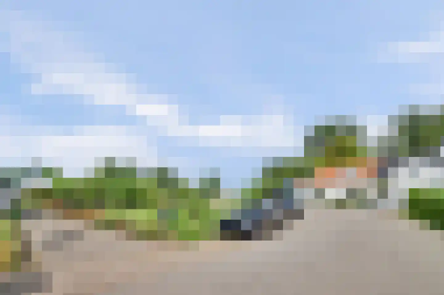 Arendstraat 18 's-Heer Arendskerke thumbnail 47