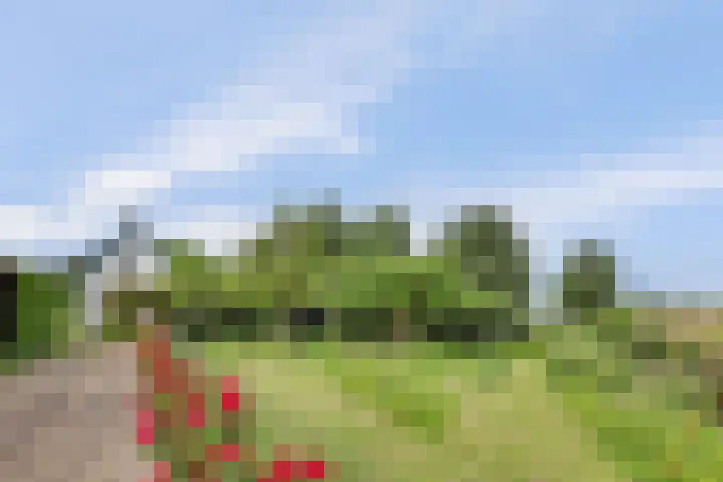 Arendstraat 18 's-Heer Arendskerke thumbnail 5