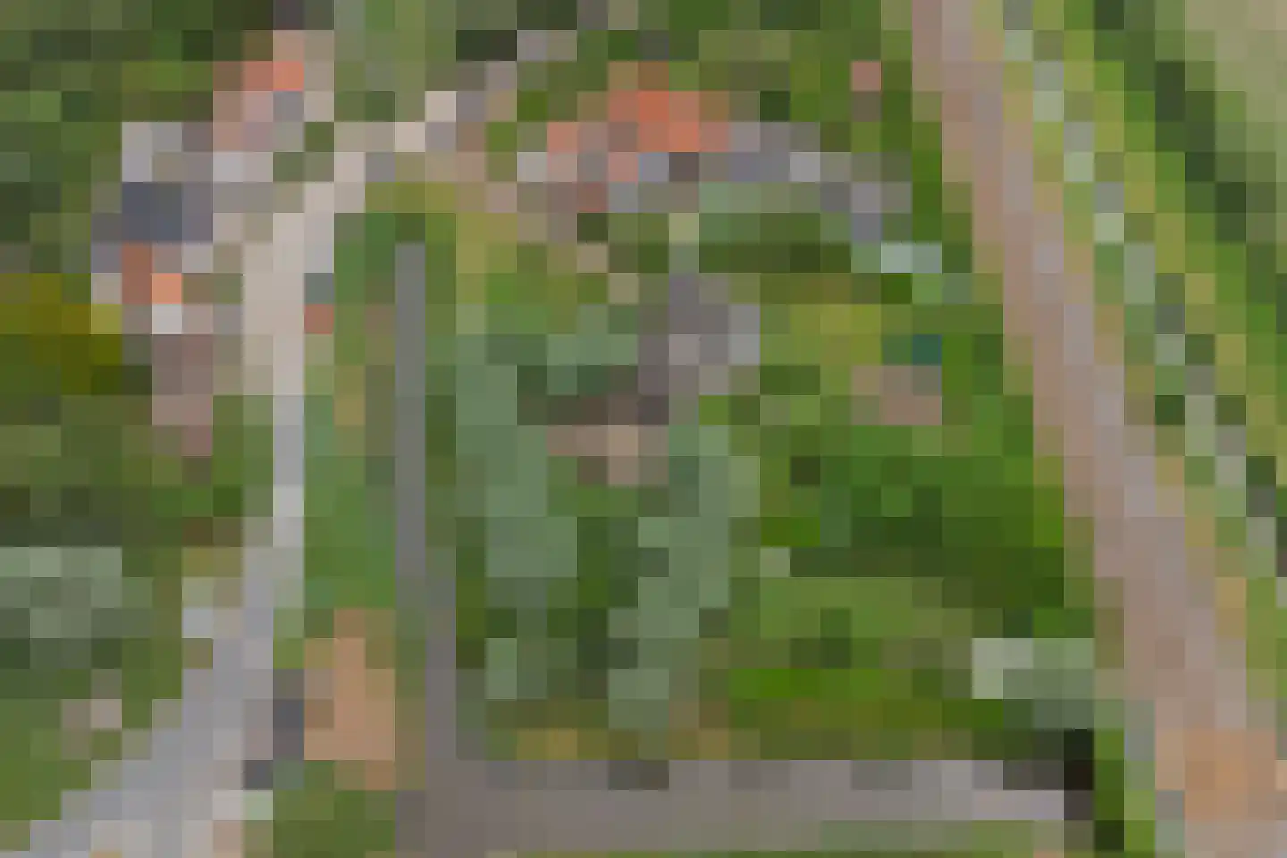 Arendstraat 18 's-Heer Arendskerke thumbnail 50