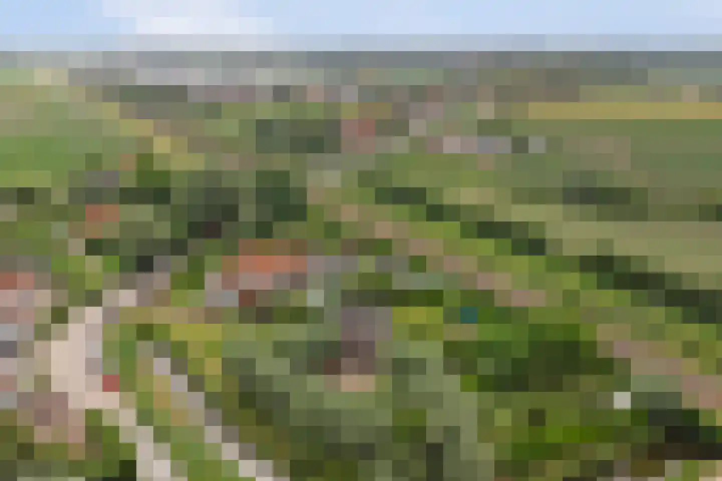 Arendstraat 18 's-Heer Arendskerke thumbnail 52