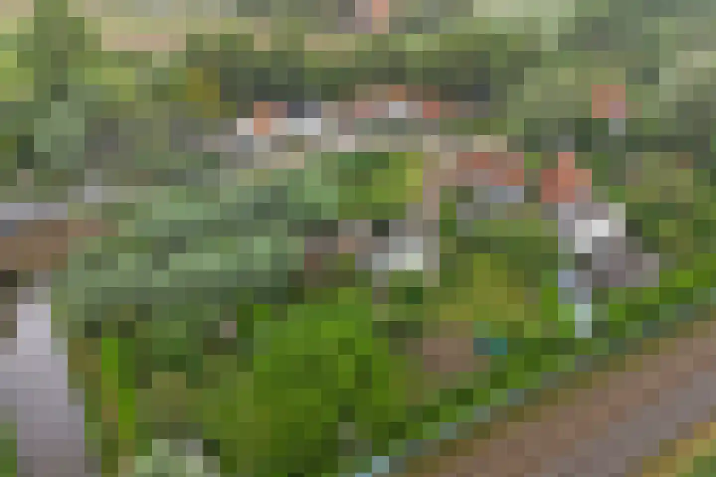 Arendstraat 18 's-Heer Arendskerke thumbnail 56