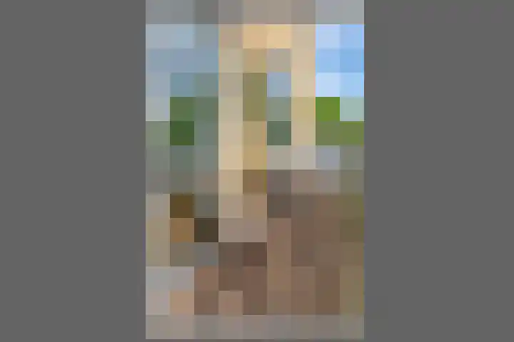 Arendstraat 20 Badhoevedorp thumbnail 12