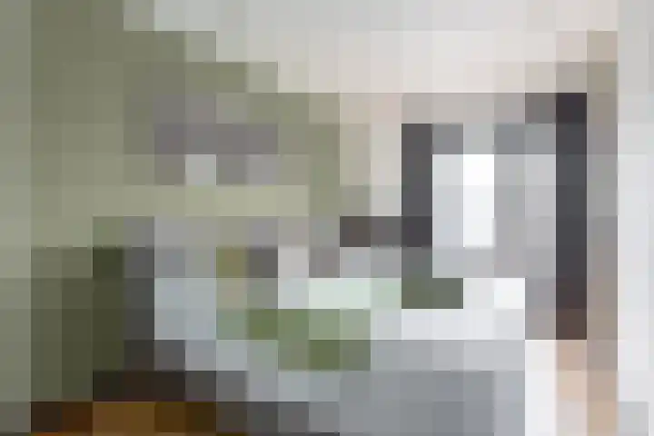 Arendstraat 20 Badhoevedorp thumbnail 22