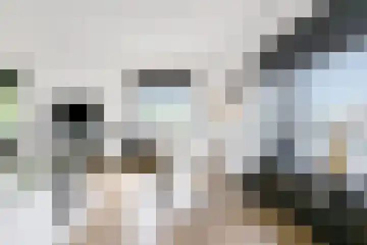 Arendstraat 20 Badhoevedorp thumbnail 9