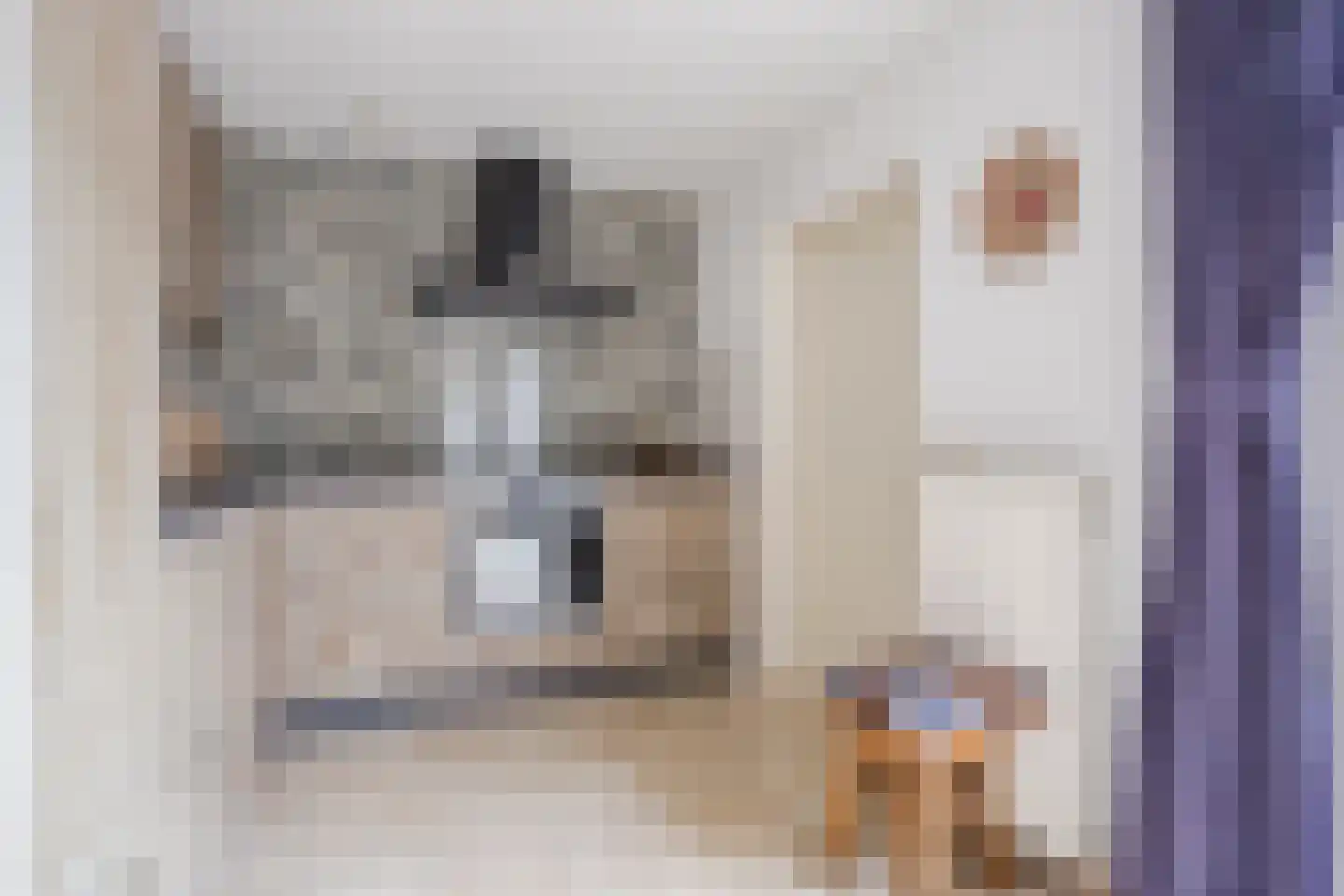 Arendstraat 21 Boekel thumbnail 17