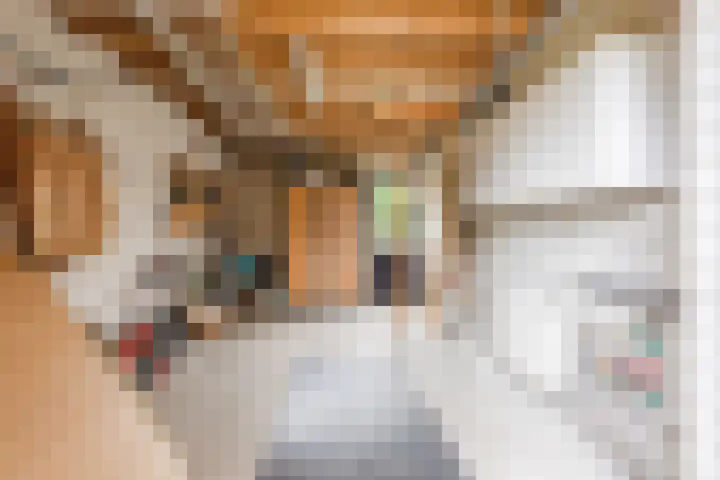 Arendstraat 21 Boekel thumbnail 39