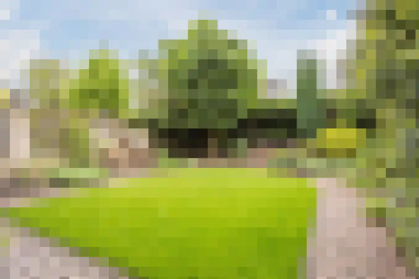 Arendstraat 21 Boekel thumbnail 4