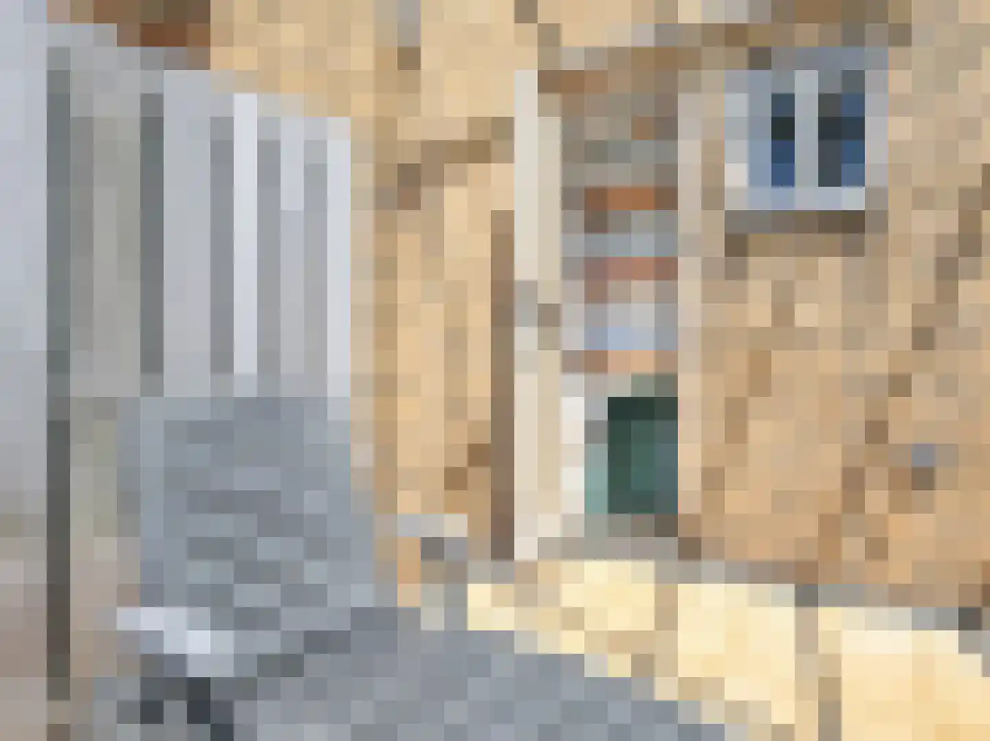 Arendstraat 29 Badhoevedorp thumbnail 21