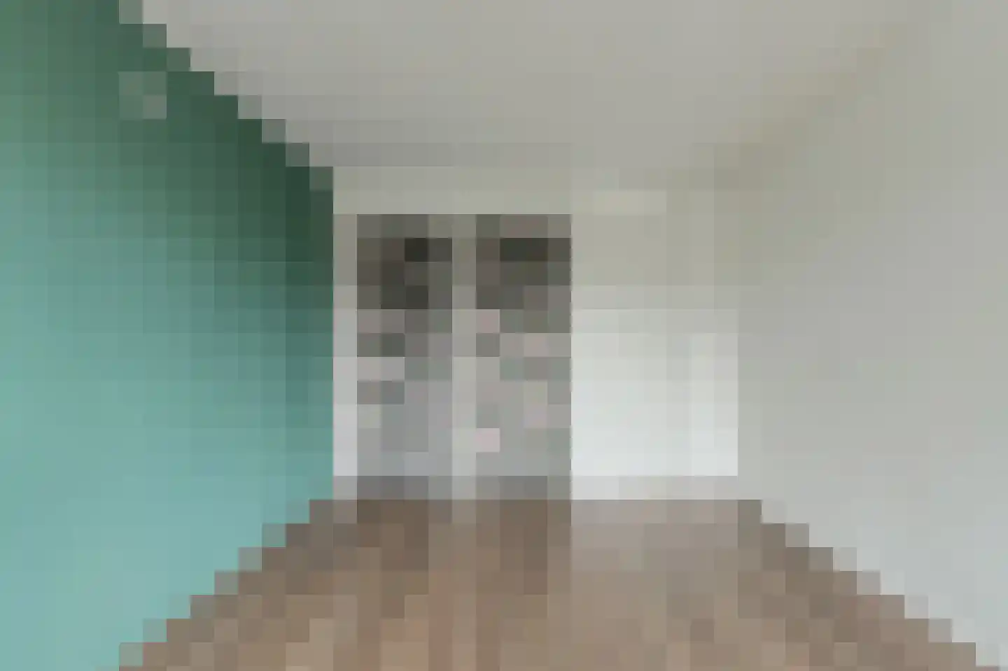Arendstraat 36 A Oosterhout thumbnail 27