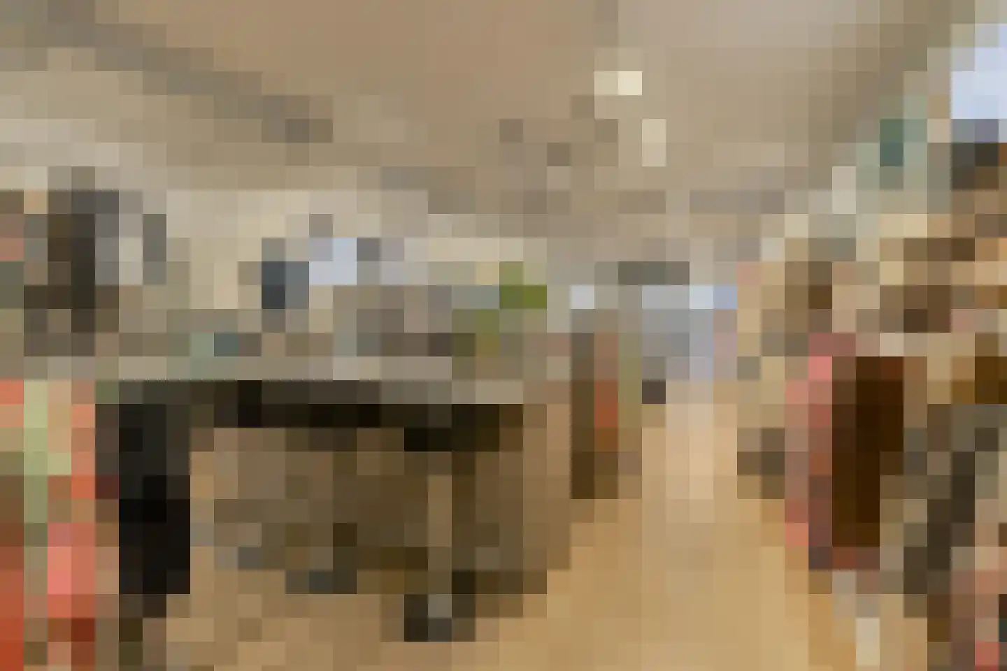 Arendstraat 36 A Oosterhout thumbnail 36