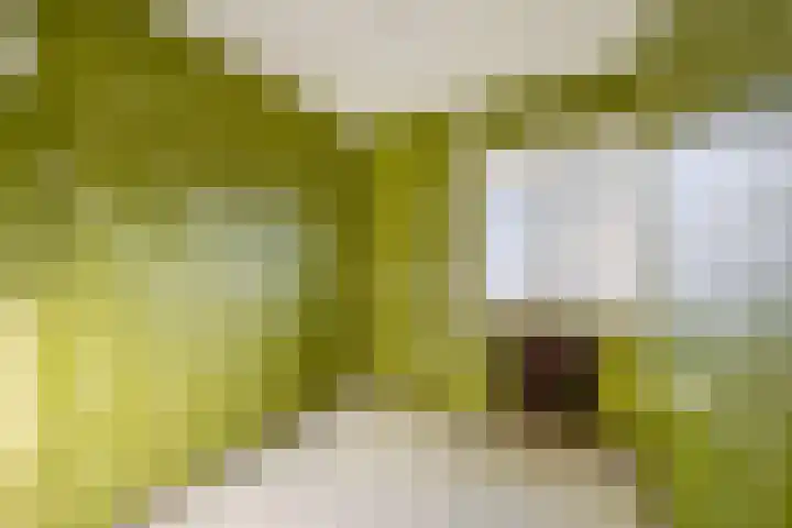 Arendstraat 42 Wijchen thumbnail 21