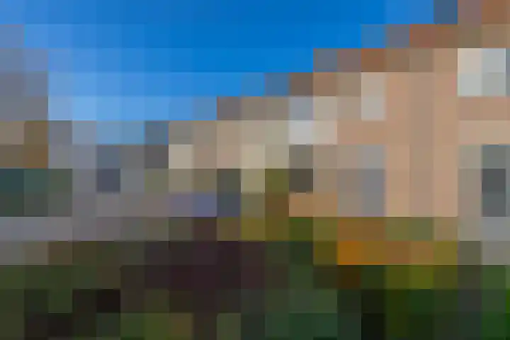 Arendstraat 42 Wijchen thumbnail 29