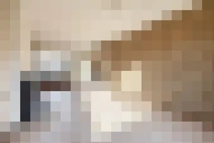 Arendstraat 42 Wijchen thumbnail 8