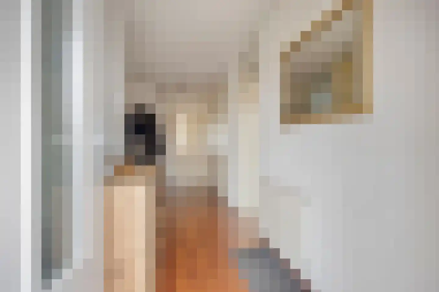 Arendstraat 52 Oss thumbnail 10