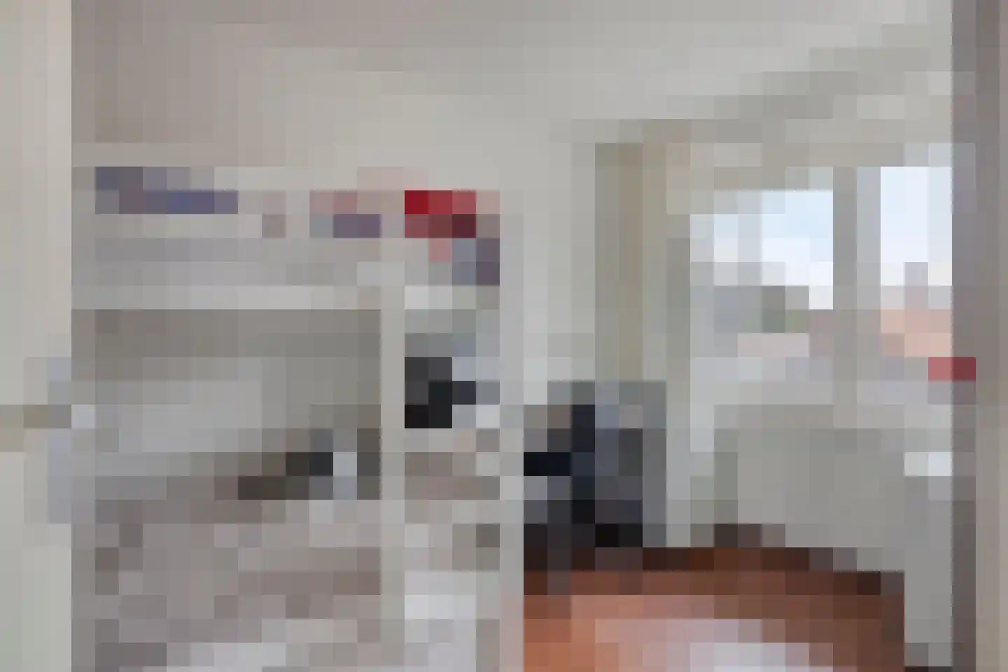 Arendstraat 52 Oss thumbnail 14