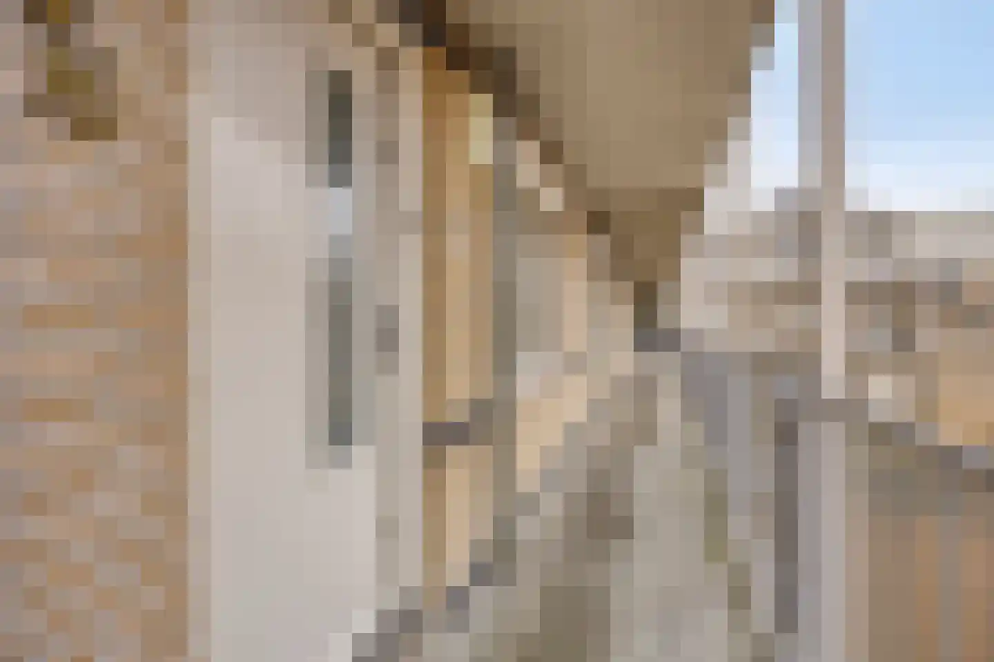 Arendstraat 52 Oss thumbnail 16