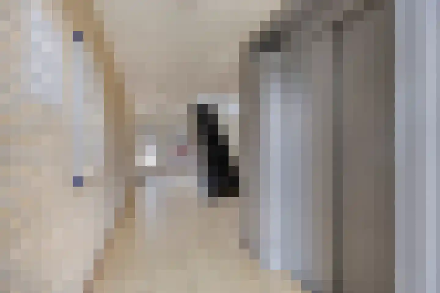 Arendstraat 52 Oss thumbnail 19