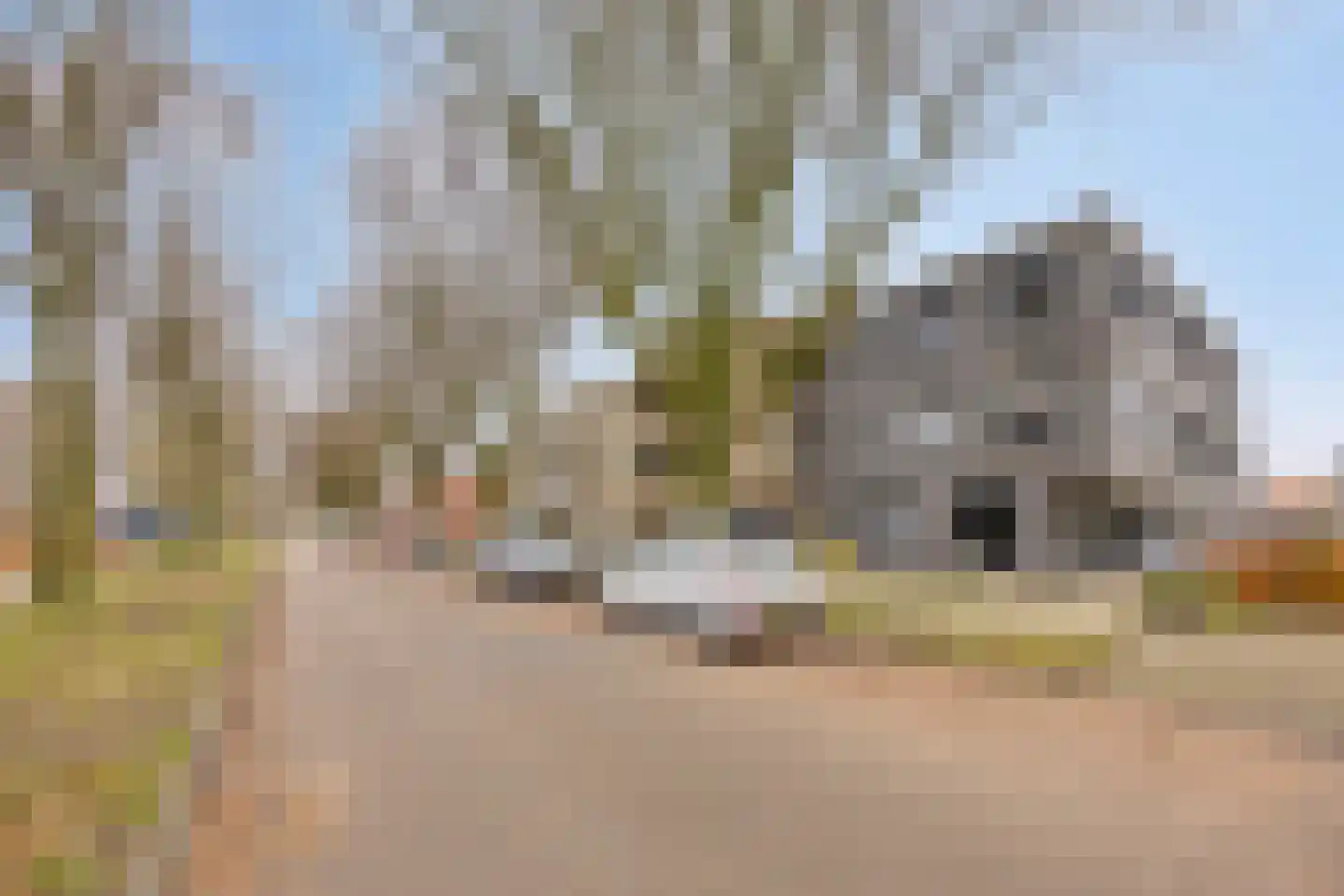 Arendstraat 52 Oss thumbnail 25