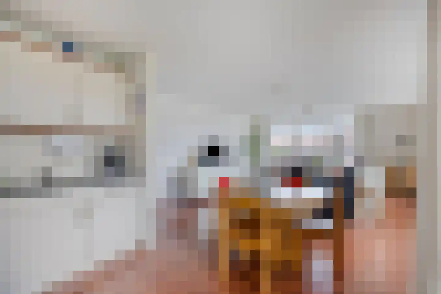 Arendstraat 52 Oss thumbnail 5