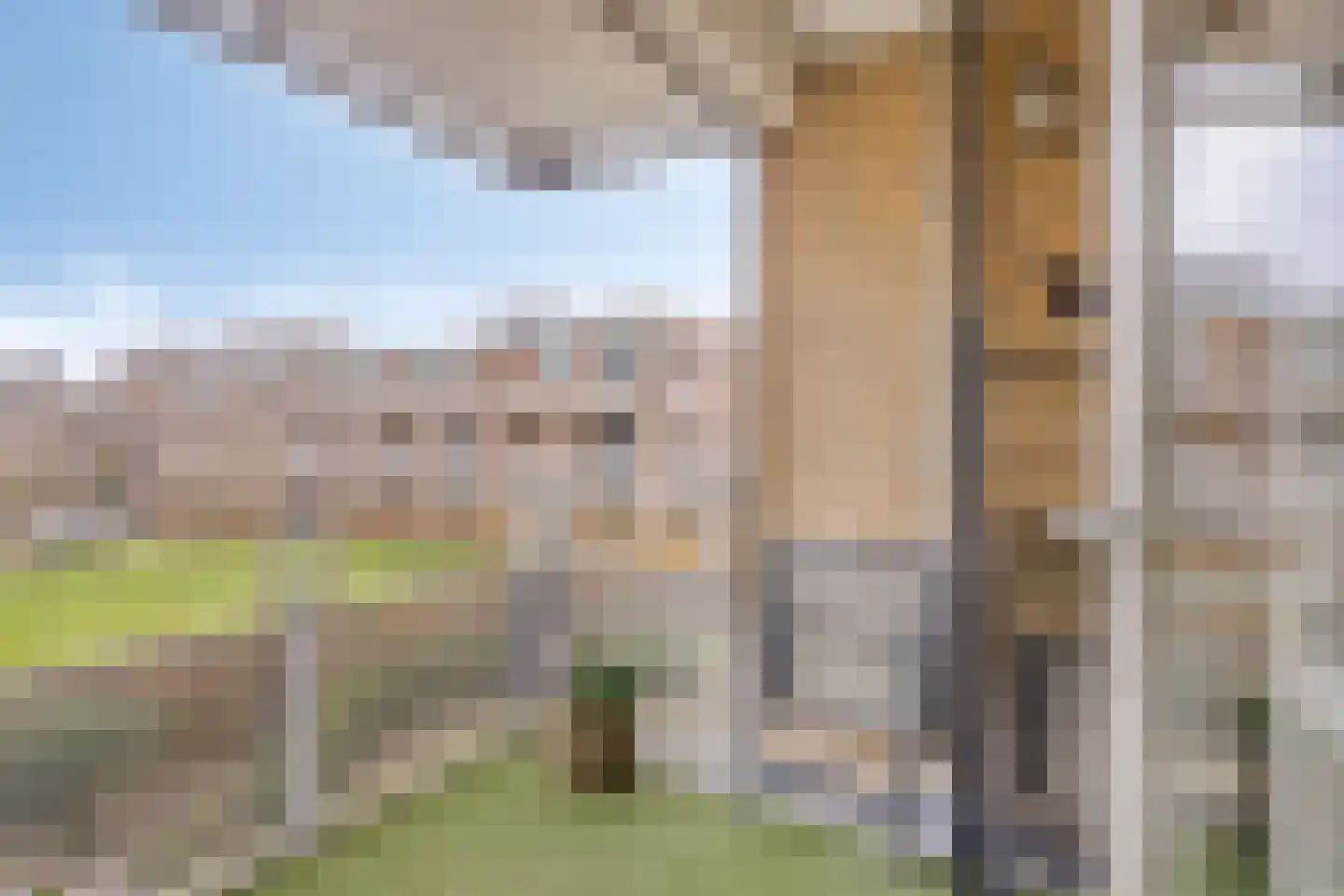 Arendstraat 52 Oss thumbnail 7