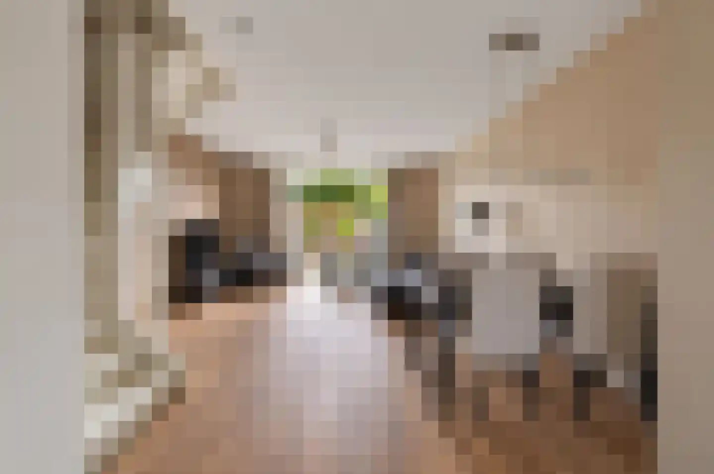 Arendstraat 8 Haaften thumbnail 10