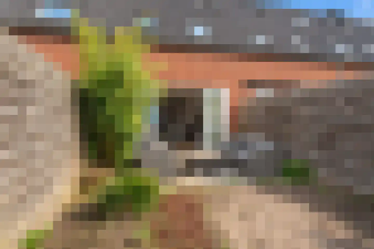 Arendstraat 8 Haaften thumbnail 22