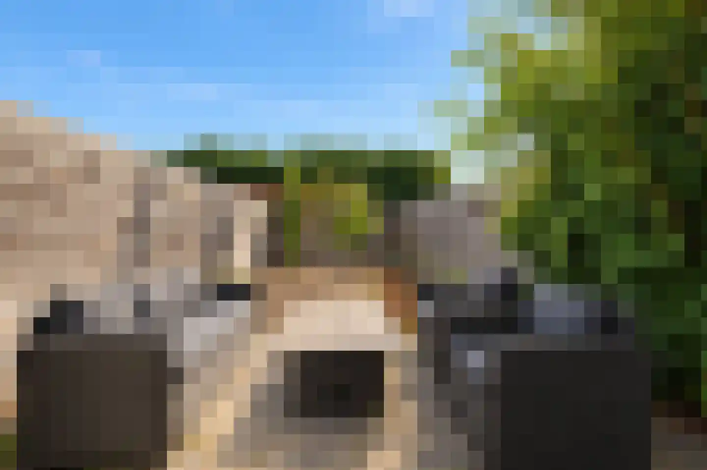 Arendstraat 8 Haaften thumbnail 23