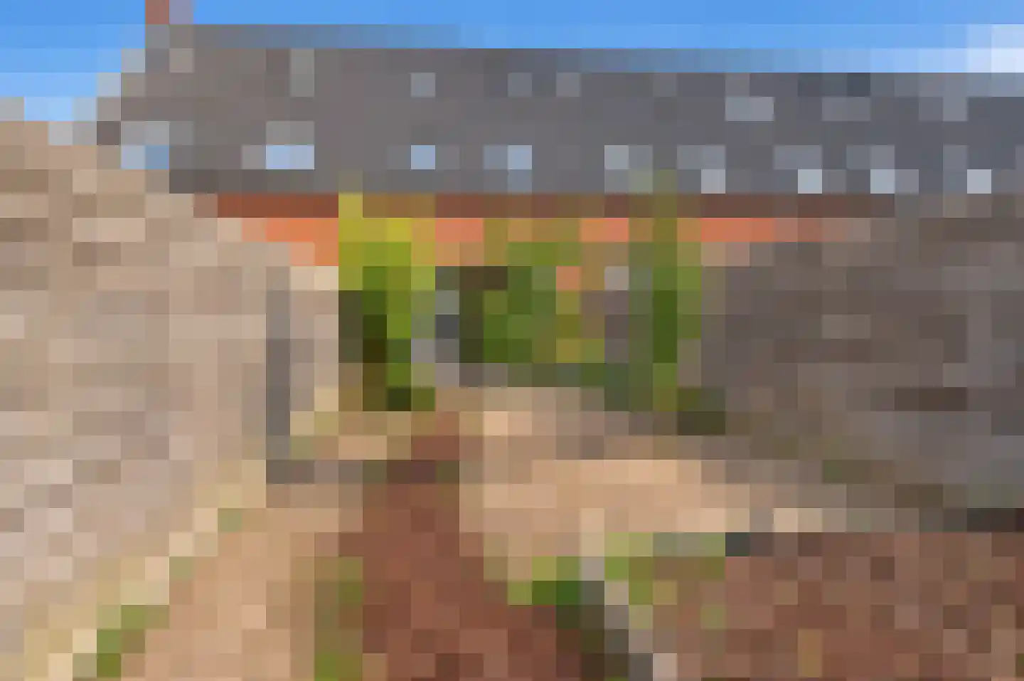 Arendstraat 8 Haaften thumbnail 24