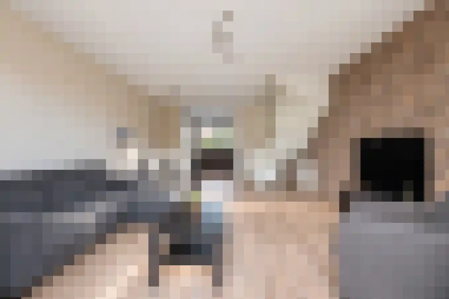 Arendstraat 8 Haaften thumbnail 9