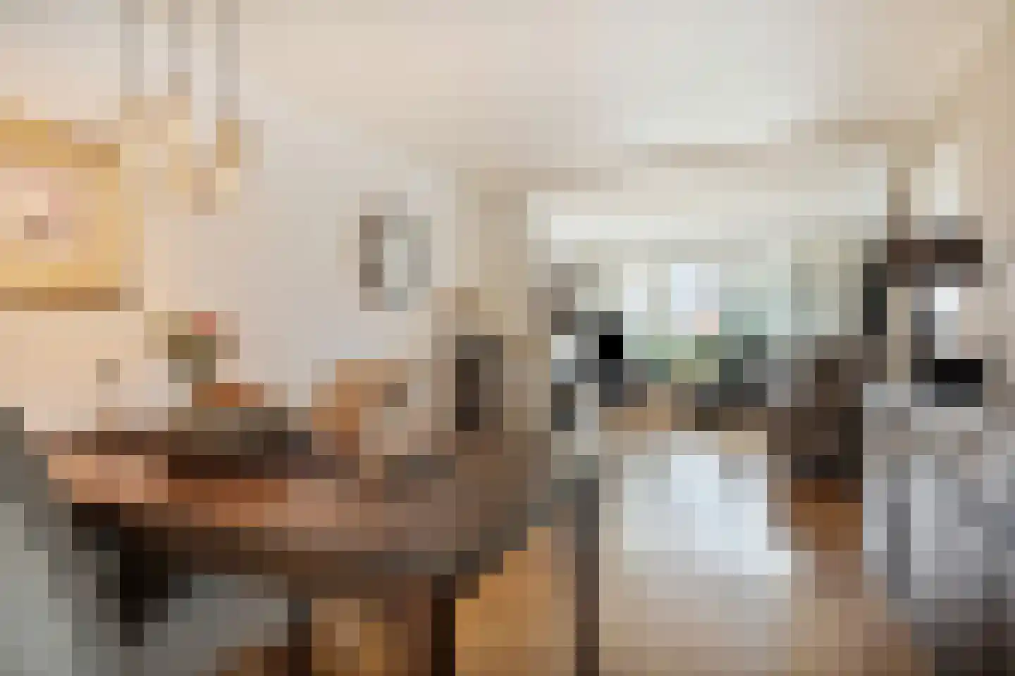 Arendstraat 8 Losser thumbnail 22