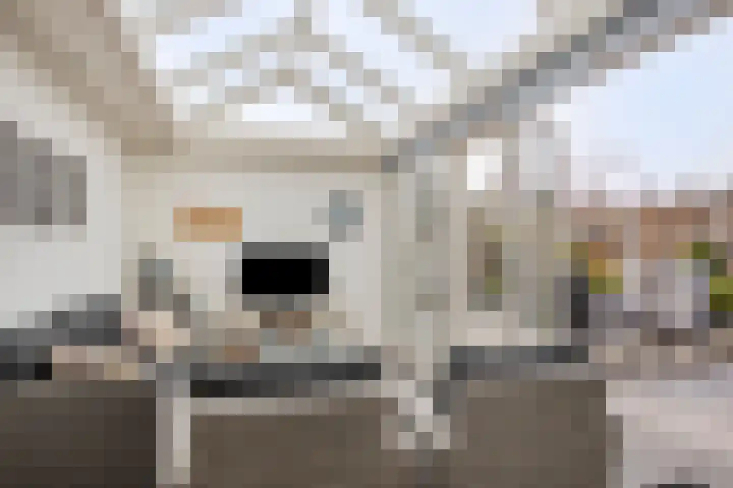 Arendstraat 8 Losser thumbnail 29