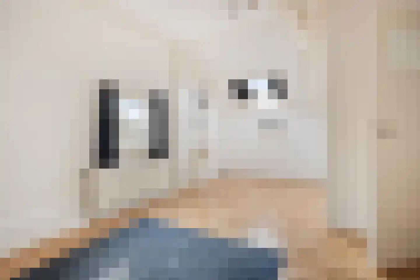 Arendstraat 8 Losser thumbnail 43