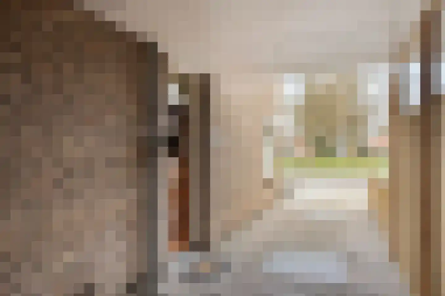 Arendstraat 8 Losser thumbnail 7