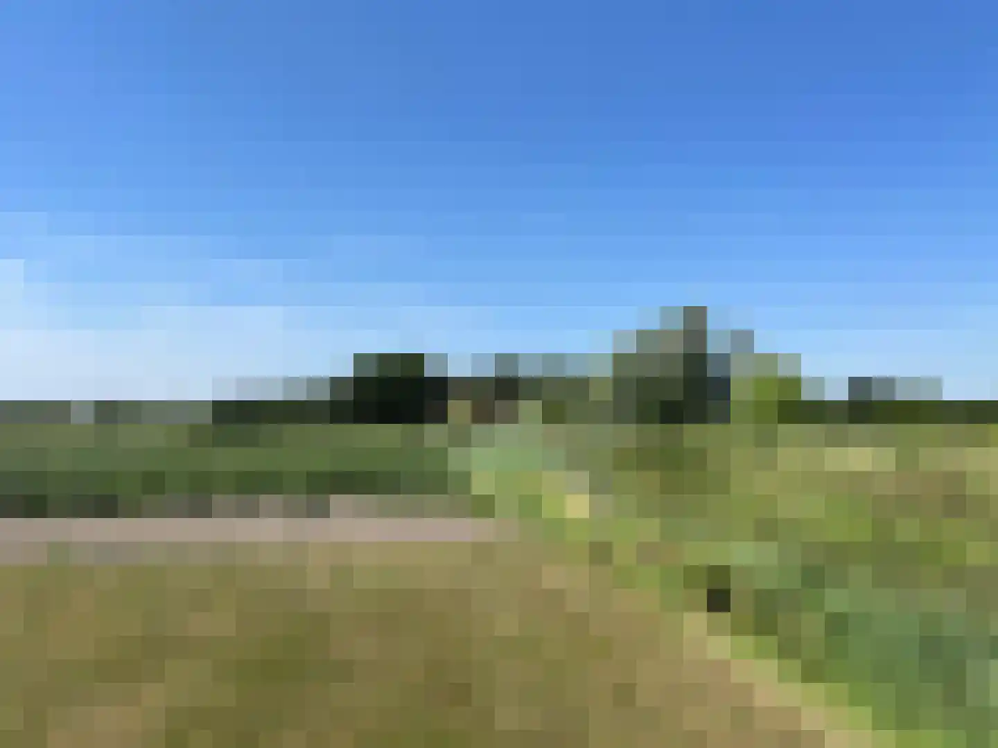 Arendstraat 8 's-Heer Arendskerke thumbnail 4