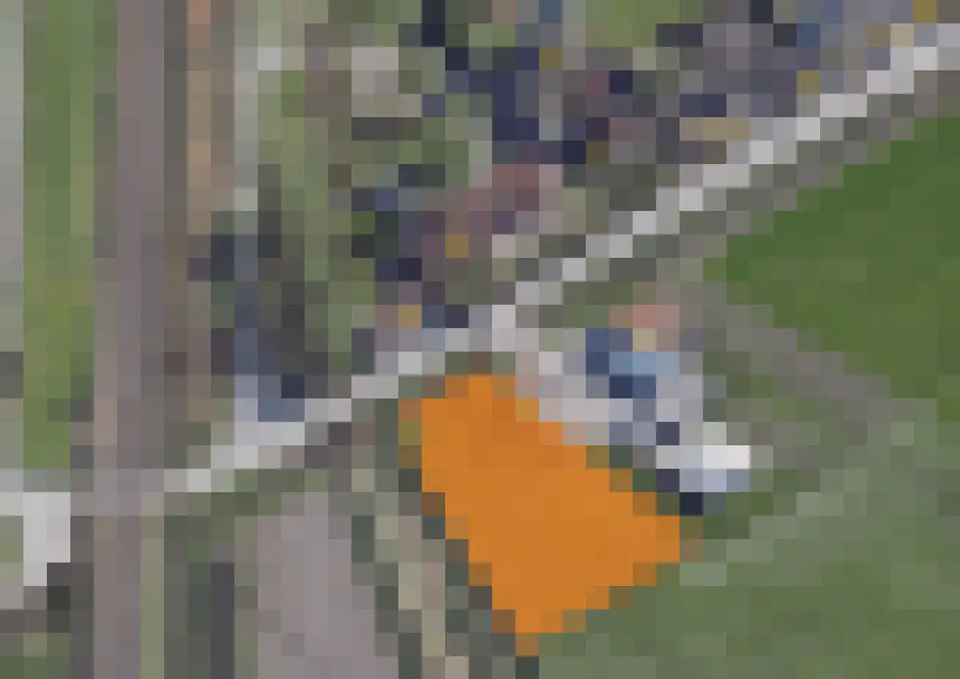 Arendstraat 8 's-Heer Arendskerke thumbnail 6