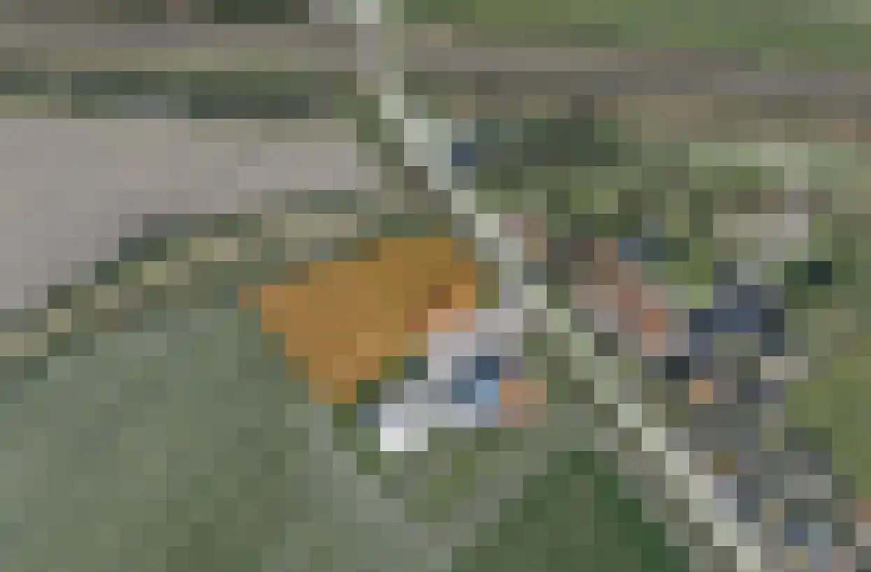 Arendstraat 8 's-Heer Arendskerke thumbnail 7