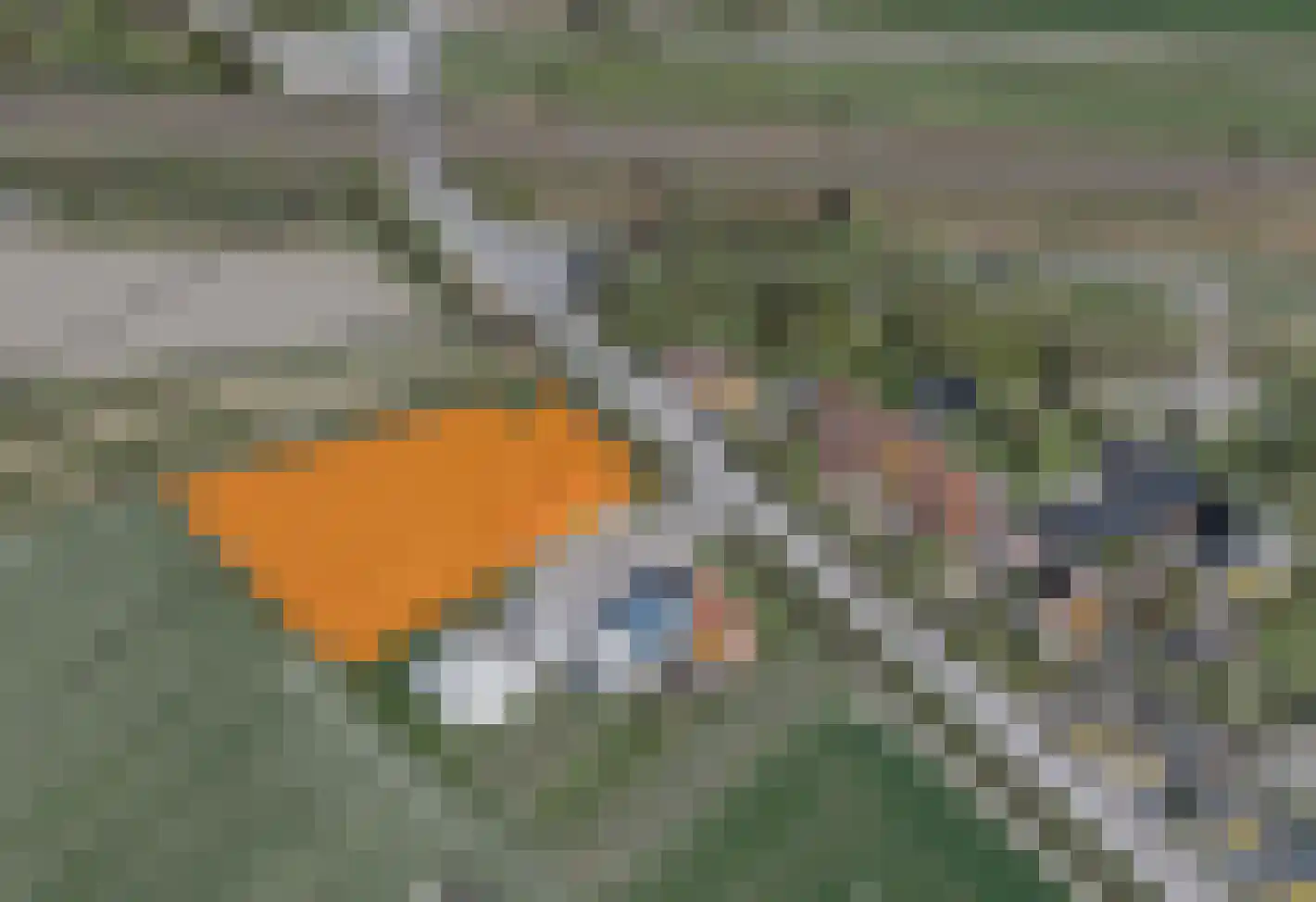 Arendstraat 8 's-Heer Arendskerke thumbnail 8