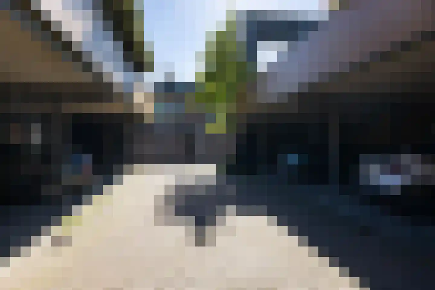 Arendstuin 10 Leeuwarden thumbnail 48