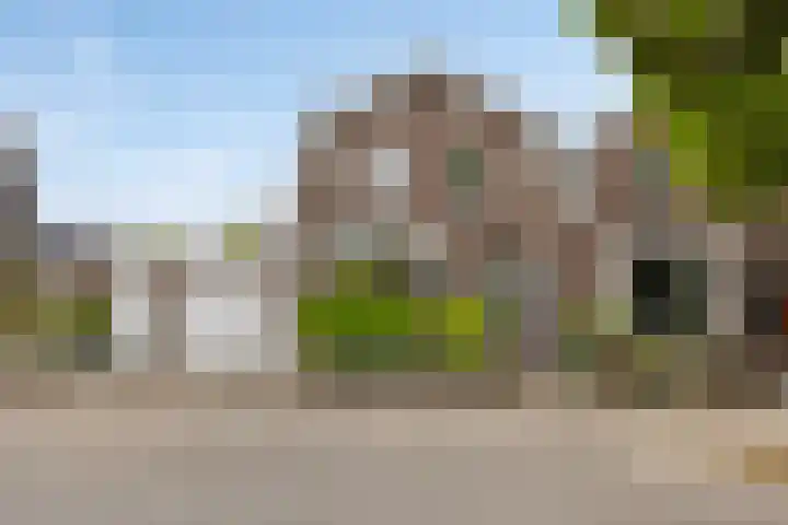 Arendsvlucht 40 Oss