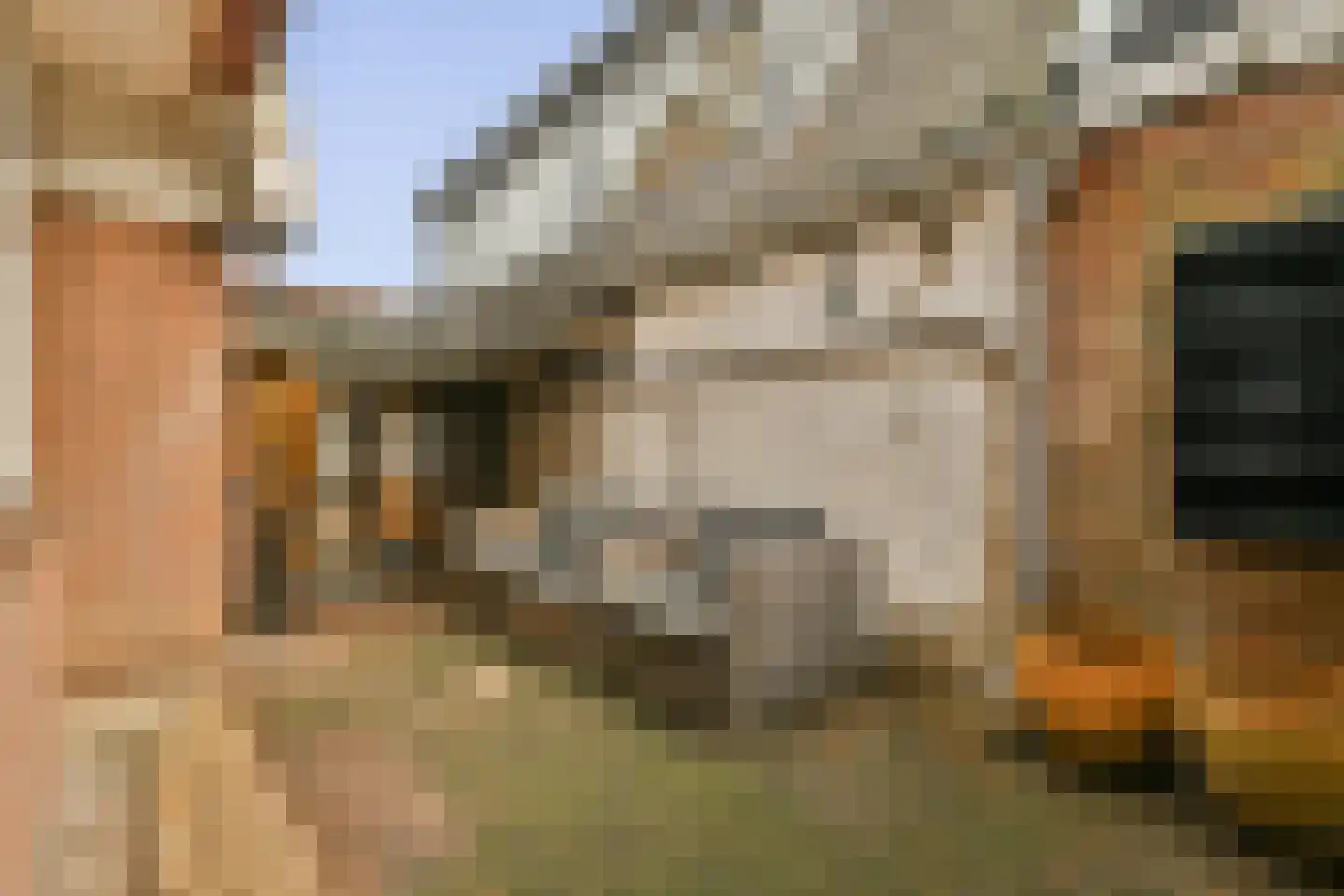 Arendsweg 108 Beverwijk thumbnail 15